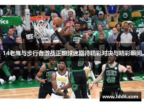 14老鹰与步行者激战正酣球迷期待精彩对决与精彩瞬间